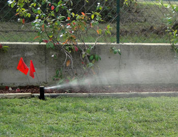 Impianti di Irrigazione Vivai Cederle