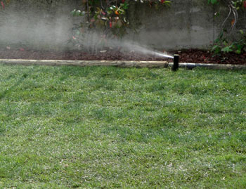 Impianti di Irrigazione Vivai Cederle