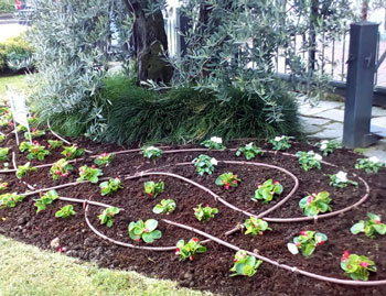 Impianti di Irrigazione Vivai Cederle