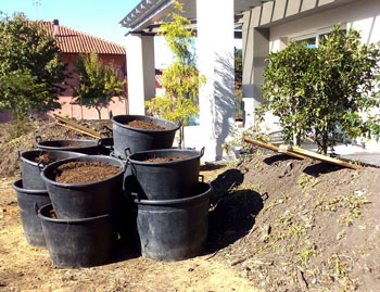 Manutenzione Prati e Giardini