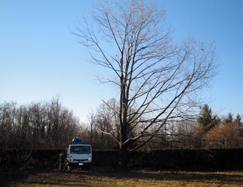 Manutenzione Prati e Giardini