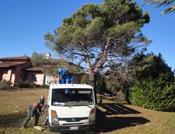 Manutenzione Prati e Giardini