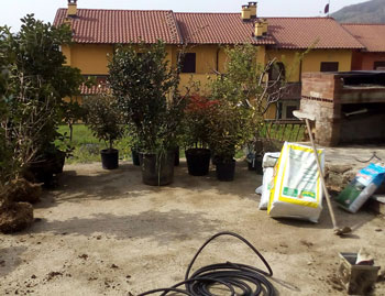 Manutenzione Prati e Giardini