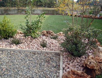 Manutenzione Prati e Giardini