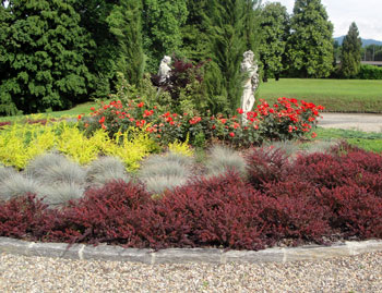 Manutenzione Prati e Giardini
