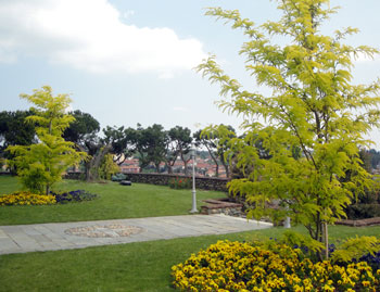 Manutenzione Prati e Giardini