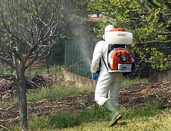 Trattamenti Antiparassitari Vivai Cederle