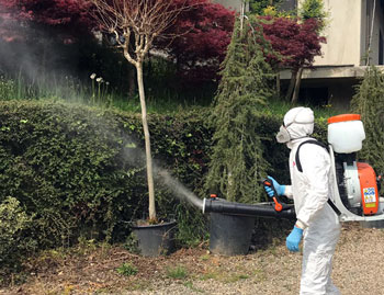 Trattamenti Antiparassitari Vivai Cederle