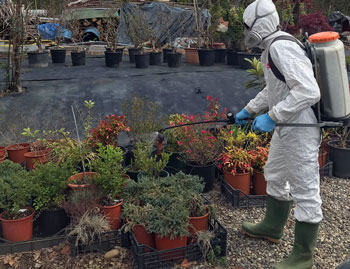 Trattamenti Antiparassitari Vivai Cederle