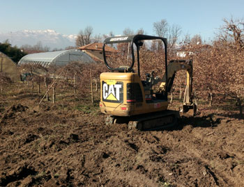 Vivaio e Piante Ornamentali Vivai Cederle